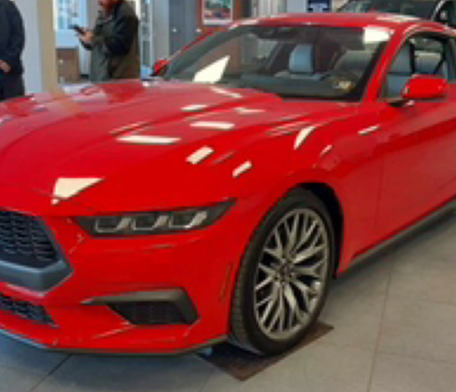 mustang